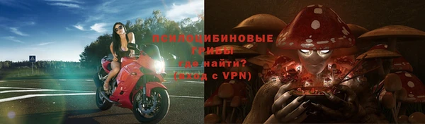 молекула духа Елизово