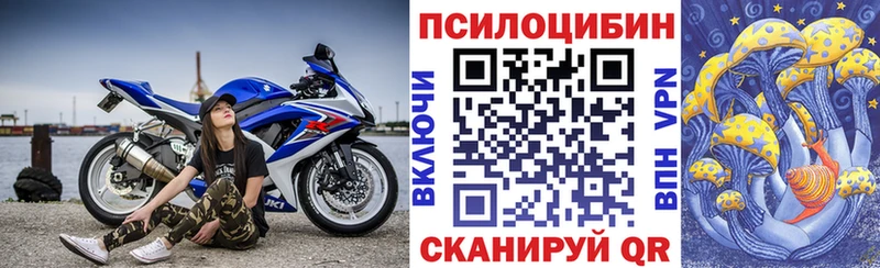 OMG как войти  Острогожск  Галлюциногенные грибы GOLDEN TEACHER 